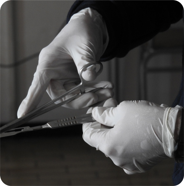 Cursos y talleres de Suturas